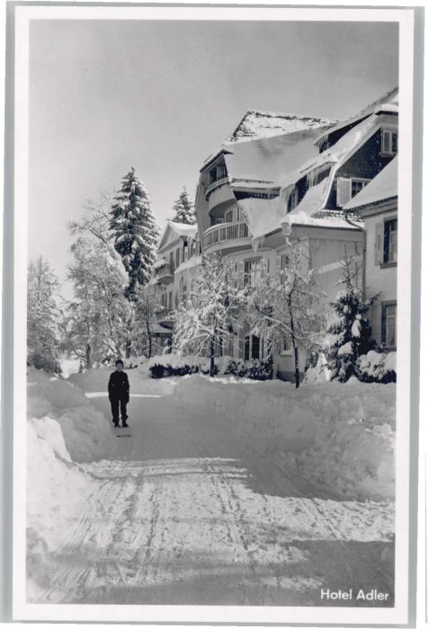 Hinterzarten Breisgau-Hochschwarzwald BW Hotel Adler
