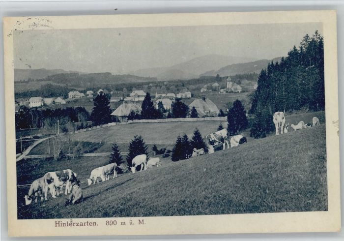 Hinterzarten