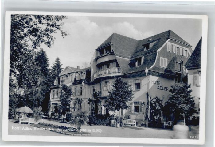 Hinterzarten Breisgau-Hochschwarzwald BW Hotel Adler