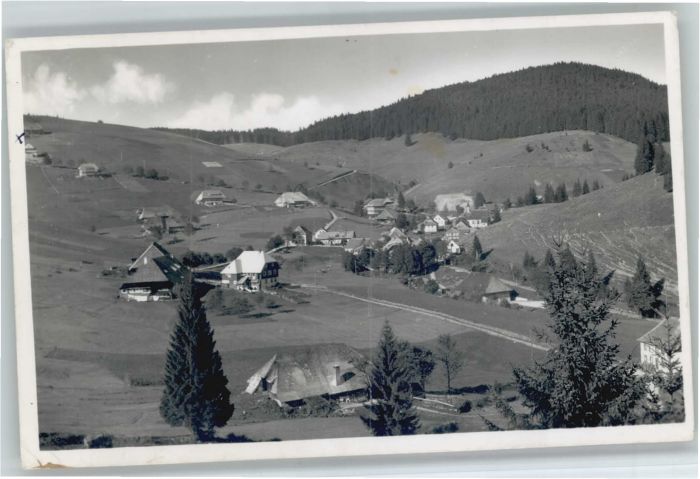 Muggenbrunn Gasthof Pension Grüner Baum