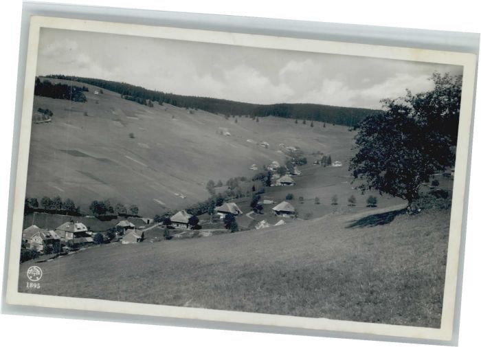 Todtnauberg Schwarzwald BW
