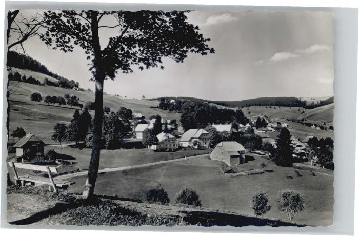 Todtnauberg Schwarzwald BW