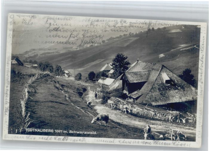 Todtnauberg Schwarzwald BW