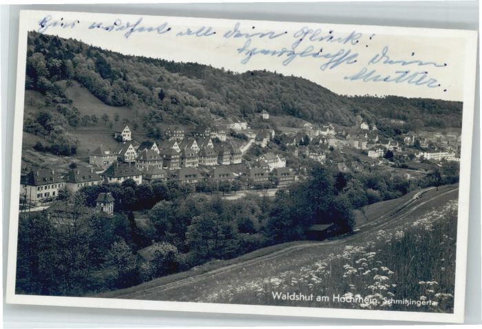 Waldshut Tiengen Rhein Waldshut-Tiengen