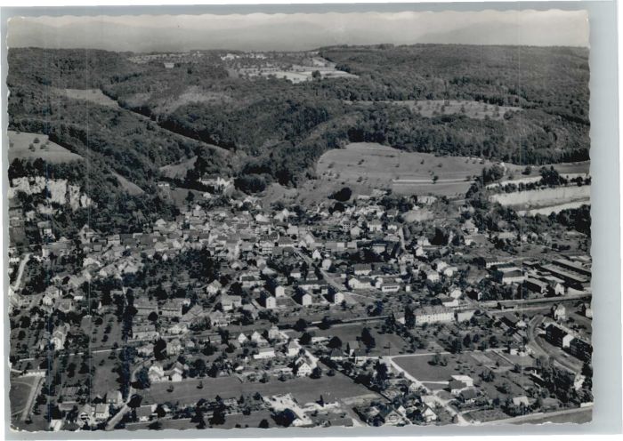 Grenzach-Wyhlen Fliegeraufnahme