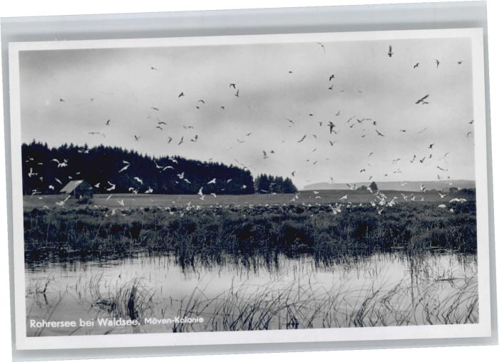 Bad Waldsee Rohrersee