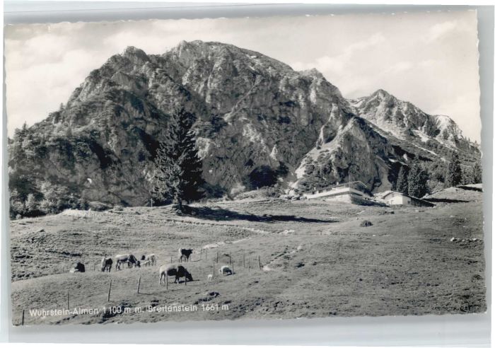 Frasdorf Wuhrstein Almen Breitenstein