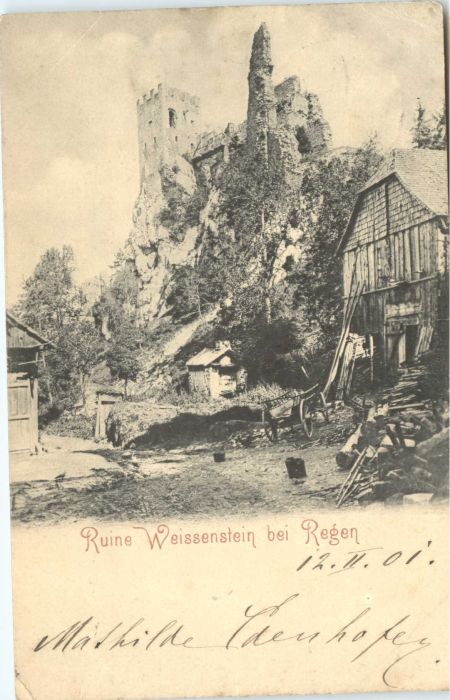 Regen Ruine Weissenstein