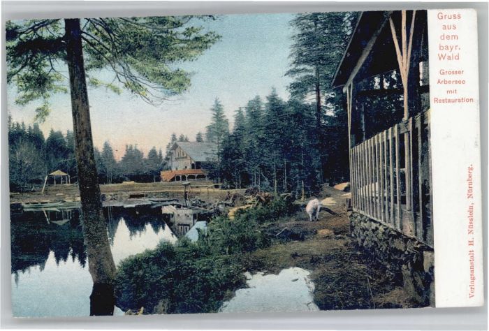 Rinchnach Arbersee Restauration Prägedruckkarte