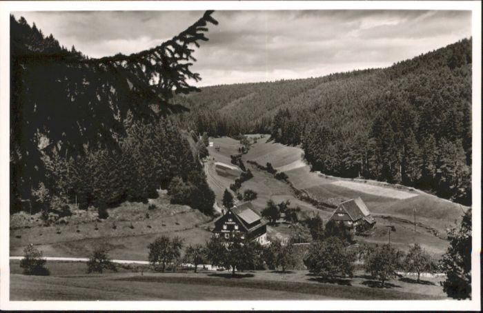 Altensteig Schwarzwald Altensteig Gasthaus Pension Kropfmühle