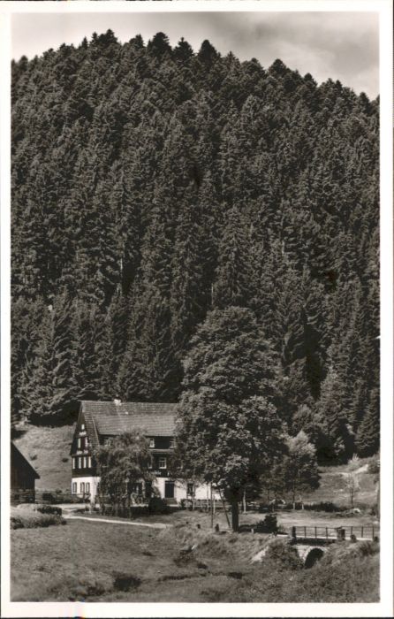 Altensteig Schwarzwald Altensteig Gasthaus Pension Kropfmühle