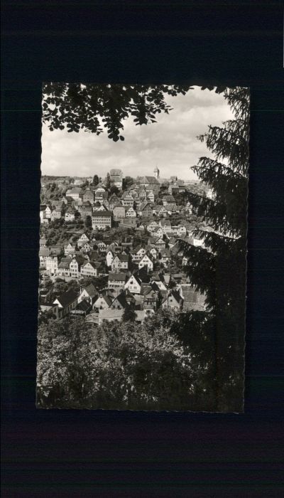 Altensteig Schwarzwald Altensteig