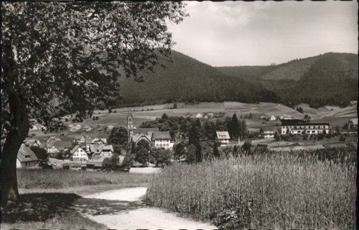 Mitteltal