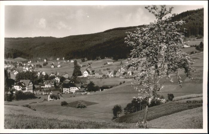 Baiersbronn Schwarzwald Baiersbronn