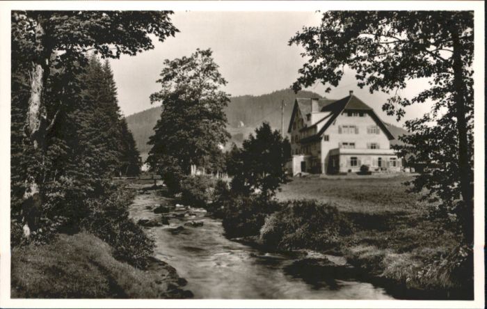 Obertal Baiersbronn Obertal Freudenstadt Hotel Pension Adle
