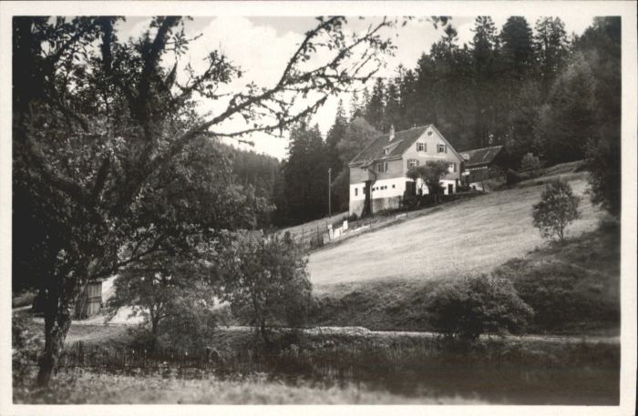 Hinterlangenbach Baiersbronn Gasthaus Pension Auerhahn