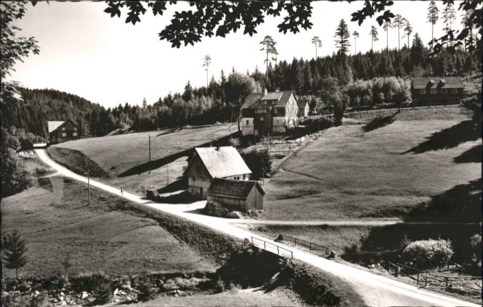 Hinterlangenbach Baiersbronn Forst Gasthaus Auerhahn