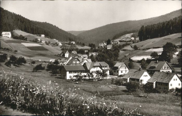 Tonbach Gasthof Pension Pflug