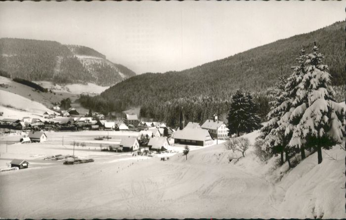 Obertal Baiersbronn Obertal Freudenstadt Hotel Pension Adle