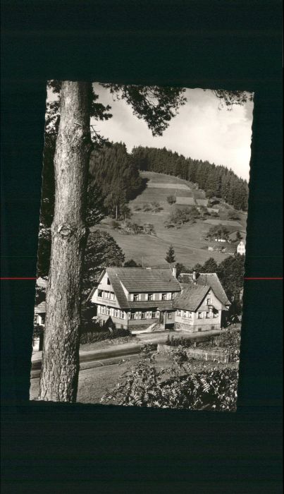 Obertal Baiersbronn Obertal Freudenstadt Gasthaus Pension S