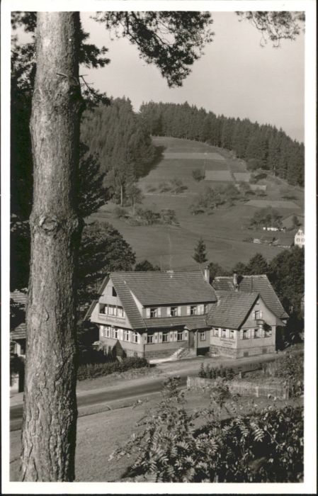 Obertal Baiersbronn Obertal Freudenstadt Gasthaus Pension S