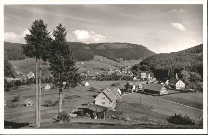 Obertal Baiersbronn Hotel Pension Adler