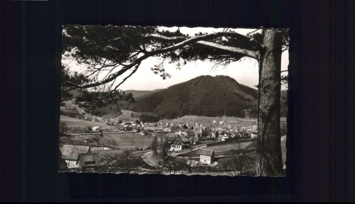 Klosterreichenbach Baiersbronn BW Gasthof Adler