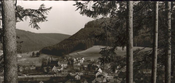 Klosterreichenbach Baiersbronn BW Gasthof Anker
