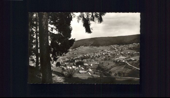 Baiersbronn Schwarzwald Baiersbronn