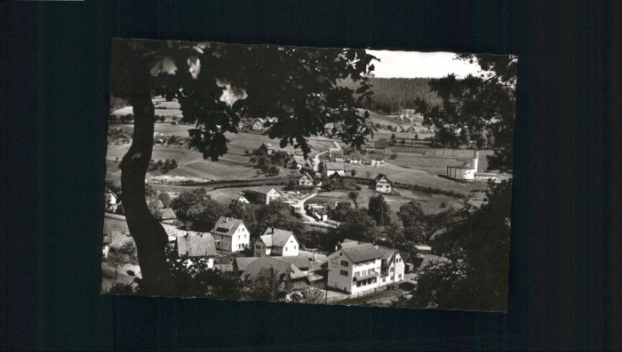 Baiersbronn Schwarzwald Baiersbronn Gasthof Pension Brücke