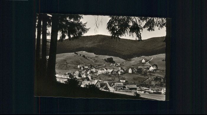 Roet Baiersbronn Röt Pension Faisst