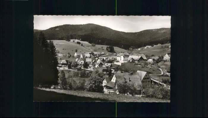 Roet Baiersbronn Röt Pension Faisst