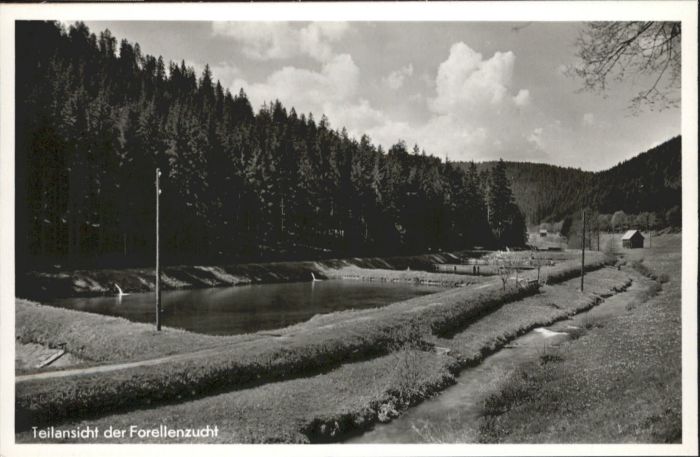 Altensteig Schwarzwald Altensteig Völmlesmühle Forellenzucht *