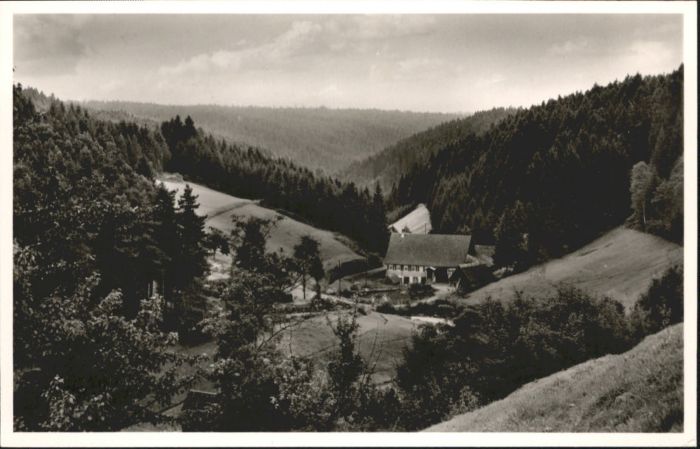 Besenfeld Gasthof Löwen