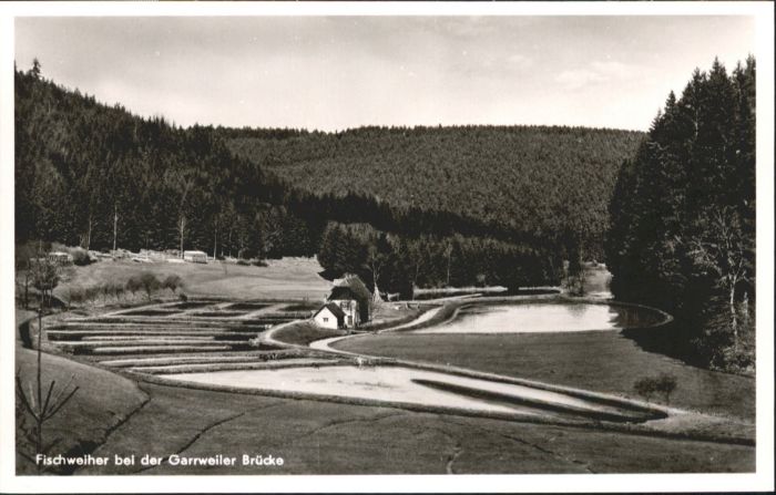 Garrweiler Fischweiher
