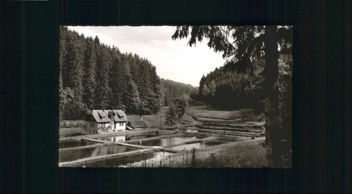 Woernersberg Gasthof Pension Anker