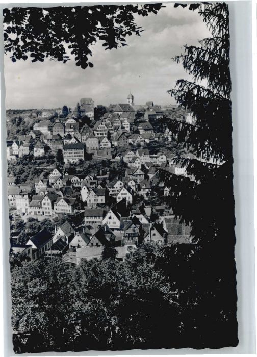 Altensteig Schwarzwald Altensteig