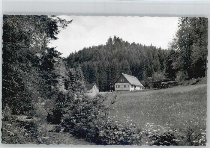 Altensteig Schwarzwald Altensteig Gasthaus Kohlmühle
