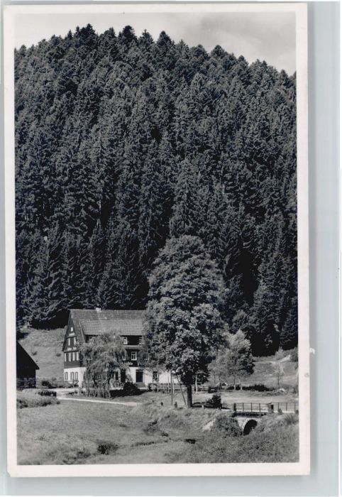 Altensteig Schwarzwald Altensteig Gasthaus Pension Kropfmühle