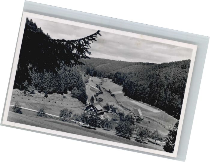 Altensteig Schwarzwald Altensteig Gasthaus Pension Kropfmühle