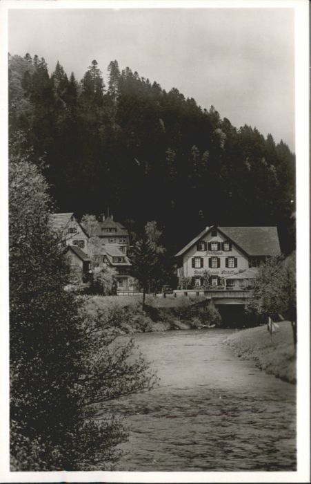 Schoenmuenzach sthof Schiff *