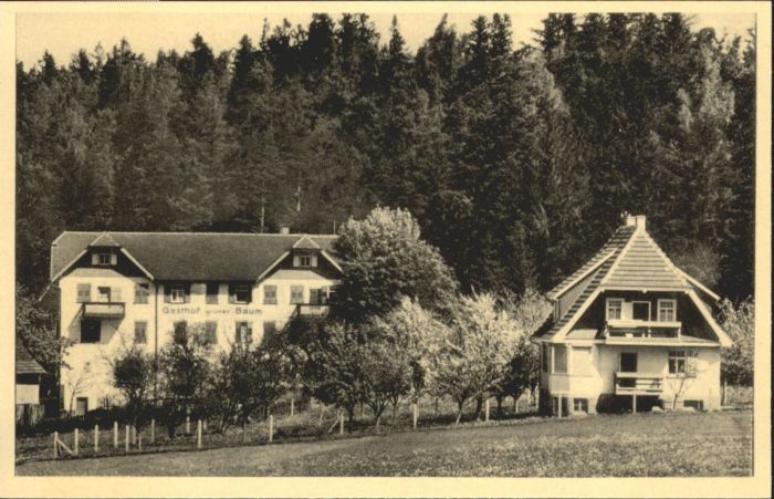 Hallwangen Dornstetten Freudenstadt BW Gasthof Pension Gruener Baum