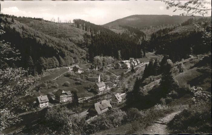Schoenmuenzach sthaus Steinbock *