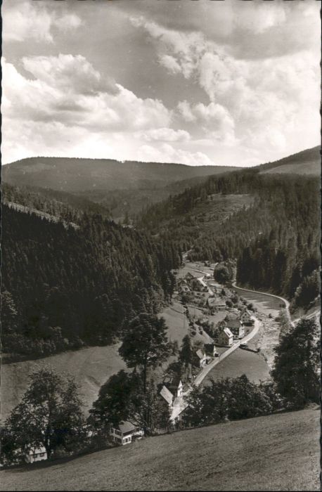 Schoenmuenzach rhaus Waldhorn *