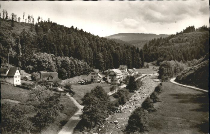 Schoenmuenzach Hotel Pension Klumpp *