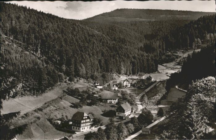 Schoenmuenzach Pension Elisabeth *