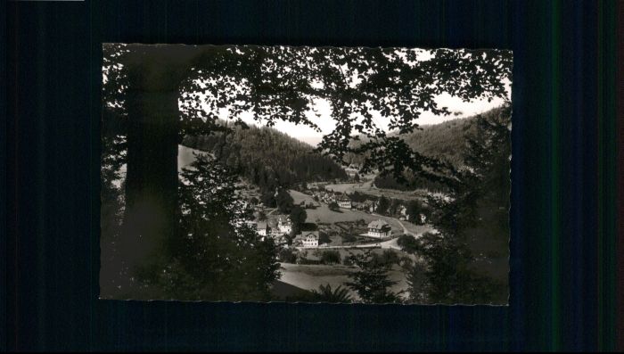 Schoenmuenzach Hotel Post *