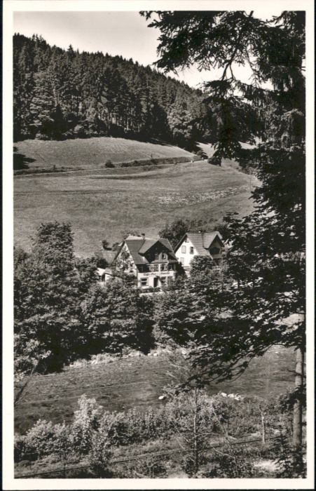 Schoenmuenzach ffee Pension Carola *