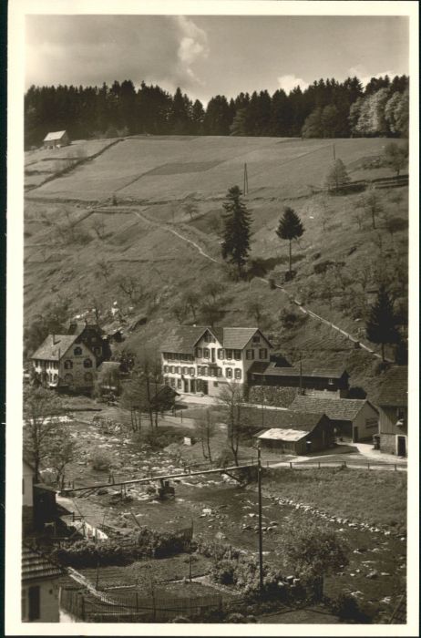 Schoenmuenzach sthaus Steinbock *