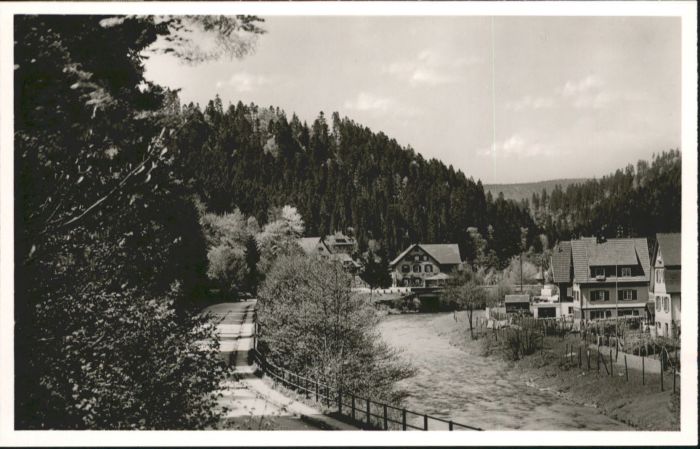 Schoenmuenzach sthaus Schiff *